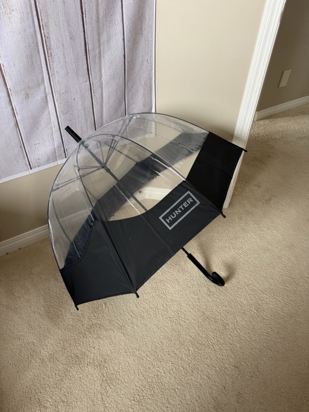 Hunter Original Moustache Bubble Umbrella in Black